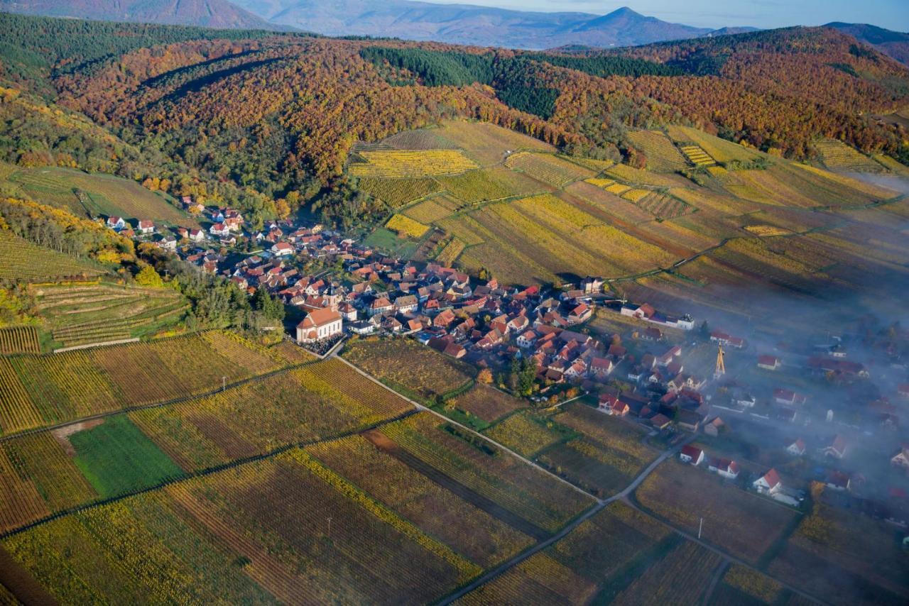 Maison De Ville Selestat Centre ภายนอก รูปภาพ